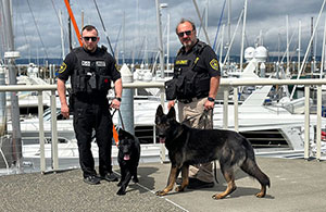 Securing property Seattle