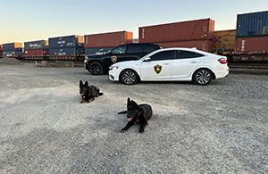 Events security Drone and patrol unit K9