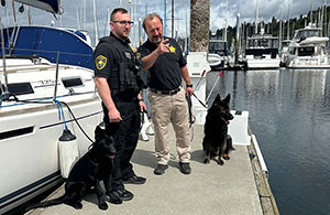 Drone and patrol units securing your property