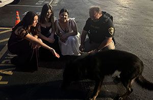 Event wedding security